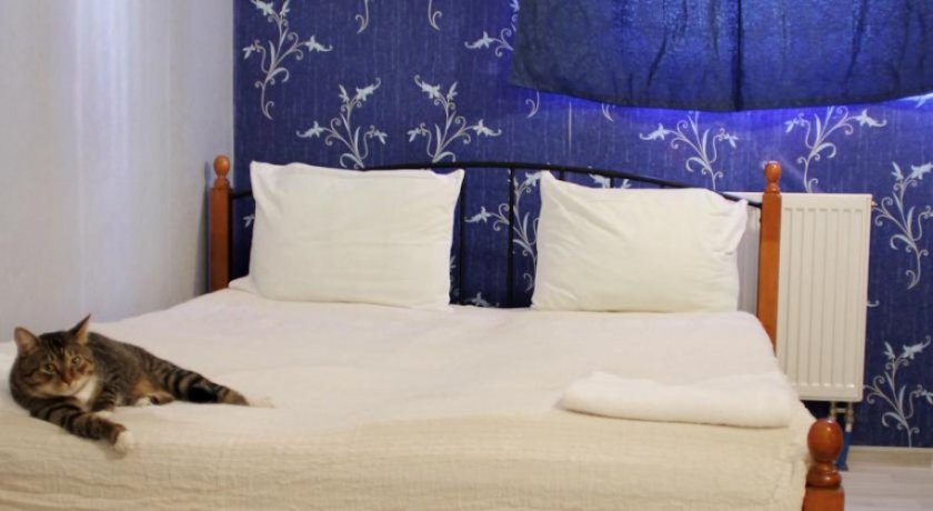 Гостиница 13 Rooms Санкт-Петербург